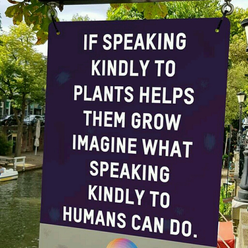 Meet your Posher, Denise